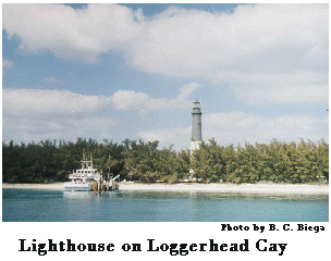 Loggerhead Key