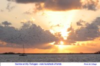 Dry Tortugas sunrise