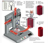 printing vein 