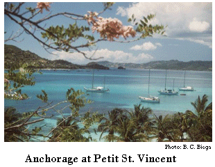 Petit St. Vincent