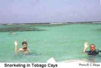 At Tobago Cays