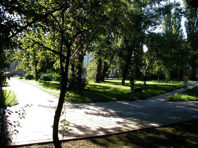 Garden behind apartment building